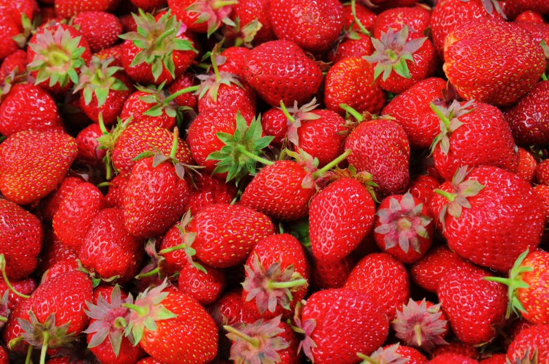 primeur-ST MARTIN VESUBIE-min_strawberries-528791